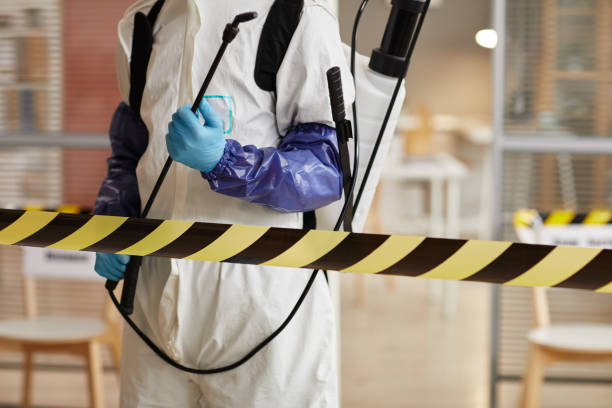 Professional Biohazard technician working in North Lima, OH